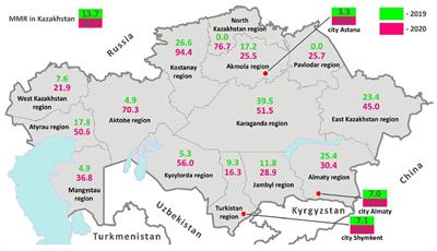 Factors associated with maternal mortality in Kazakhstan: a pre- and during-pandemic comparison